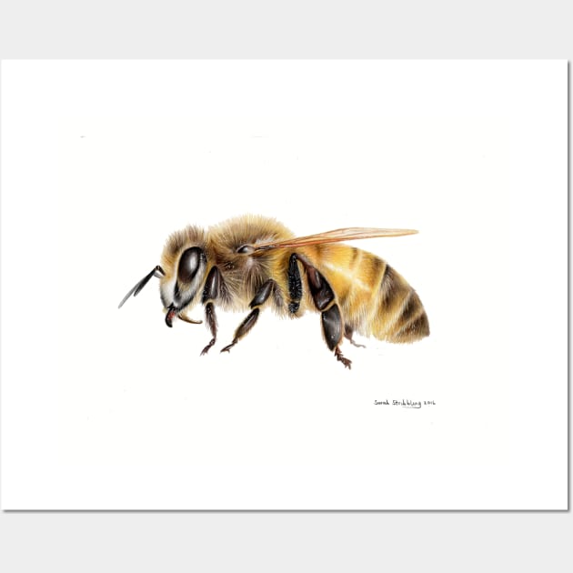 Honey Bee Wall Art by sarahstribb